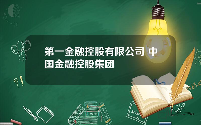 第一金融控股有限公司 中国金融控股集团